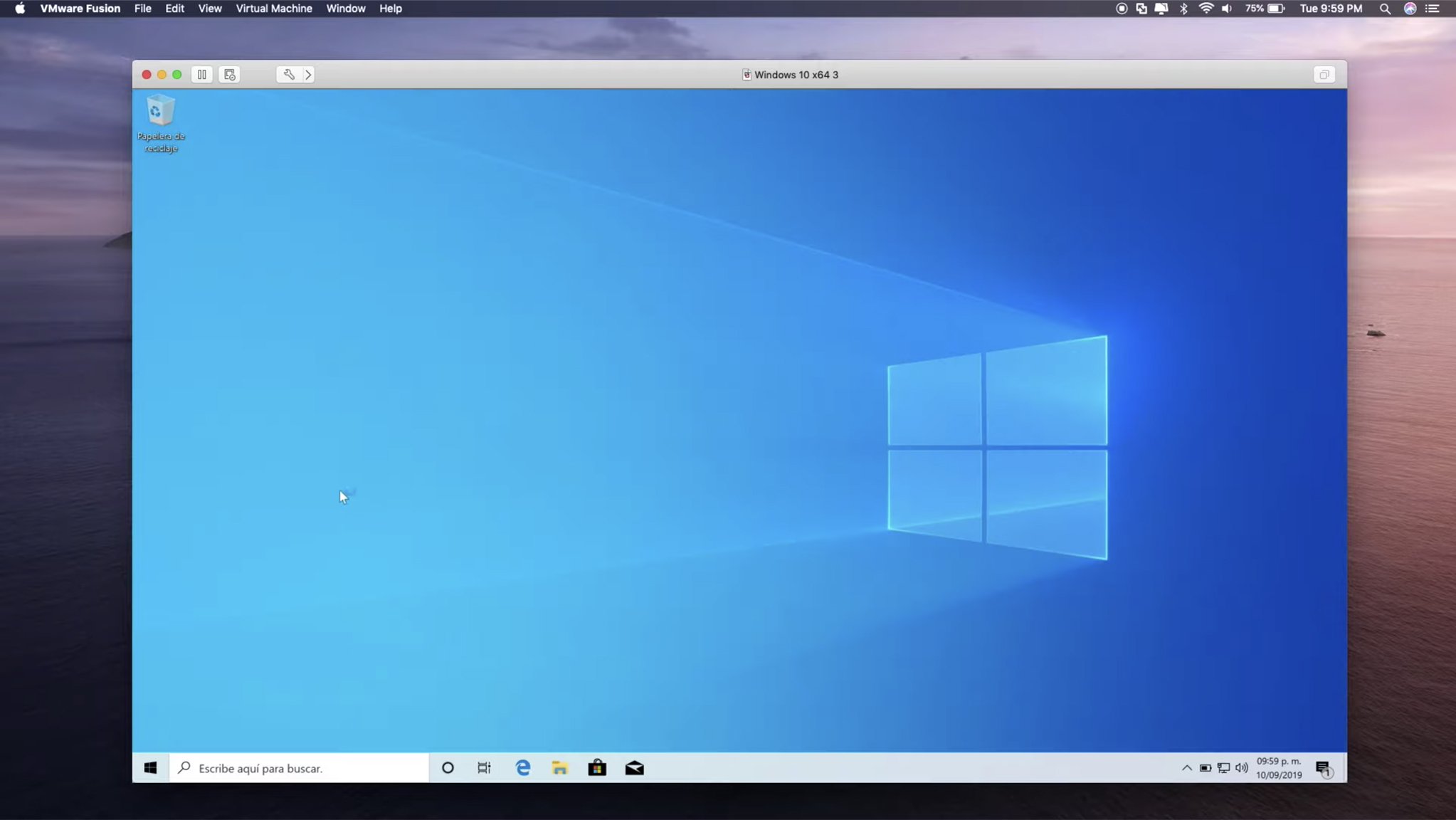 VMware Fusion Pro screenshot 2